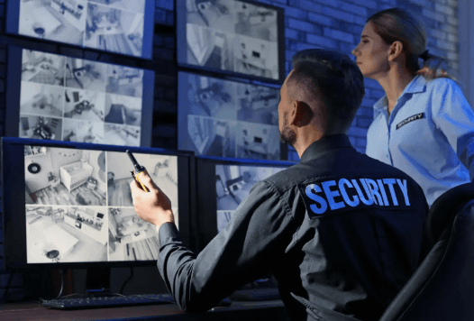 Key Features to Look for in a Professional Security Services Company