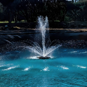 Pond Fountains vs Aerators: Which One Fits Your Water Feature